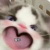 xxxweiwei2