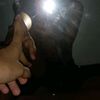 joserodriquez94