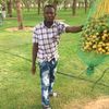 user3419406866742