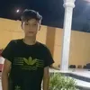 hsih313