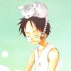 luffycoolcat