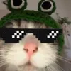 logicagodzic77