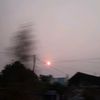 olike_5