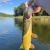 gacus._.fishing