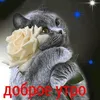 user2624876126174