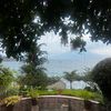 shatha_tafesh