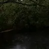 anaclarimo12