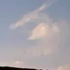 thosacan