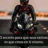 vidalvargas504
