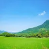 thongtinmoinhat.vn