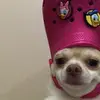 rzqfbry8
