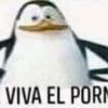 7097687696u