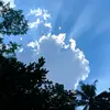 chun_0n9