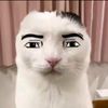 wtfhandsomeboy