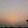 lazy_official8