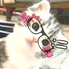 username_101701