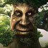 thelargesttree