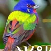 user8109_07