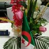 mohamedde915