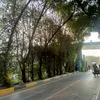 r_y4o2