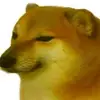 doichoikdepdmdoi1