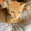 tememeozmeoz
