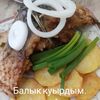 akmaralabdurahmanova