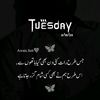 awaisjutt0365