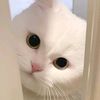 natalia_06_t