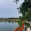 hoangminhtan1008
