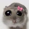anderxcx_