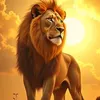rachid.labchiri