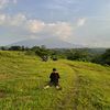peonix_2