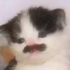 sergiowithme