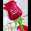 adolislam83