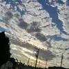 josefina.santos86