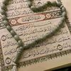 alaa.sad1