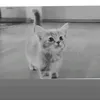 marinka_231022