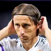 zanupa.modric