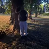 _alex246_