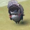 reychikchikchikchik