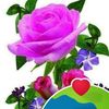 ahmadmamo470