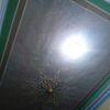 user35139008141512