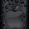 user232499429016
