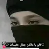 ali706582
