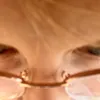 ur_fav.blond13