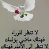 23zkjl