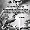 fatma.tademir8