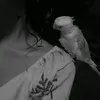 _kalyrxss0._