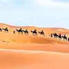 mohammadhanaoui